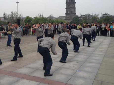 我公司組織參加拳術表演